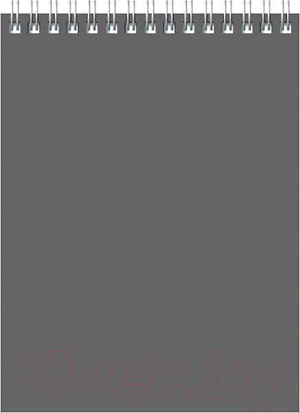 Изображение товара Блокнот BG Для конференций / Б5гр60 8592 (60л, серый)