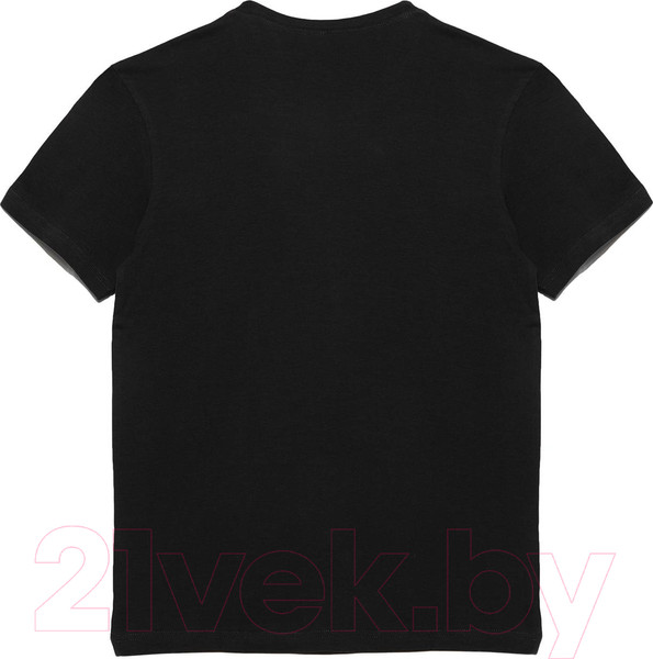 Изображение товара Футболка Alfa Man T-Shirt 6600 / 16С6600 (р.170,176-108, черный)