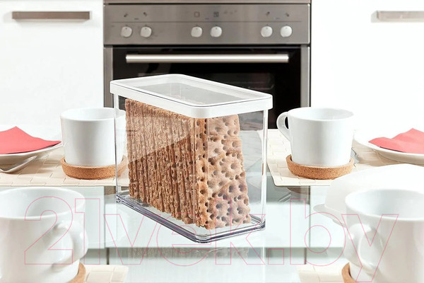 Изображение товара Емкость для хранения Rotho Loft Premium / 1161090000 (прозрачный/белый)