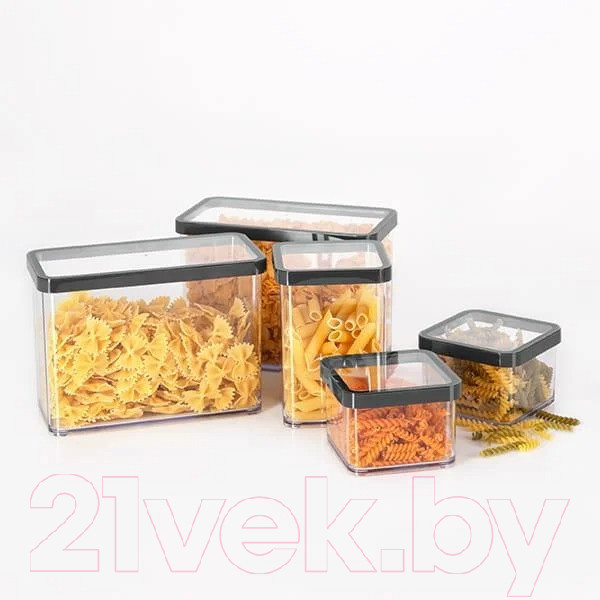 Изображение товара Емкость для хранения Rotho Loft Premium / 1161008080 (прозрачный/черный)