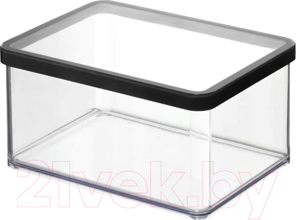Изображение товара Емкость для хранения Rotho Loft Premium / 1161008080 (прозрачный/черный)