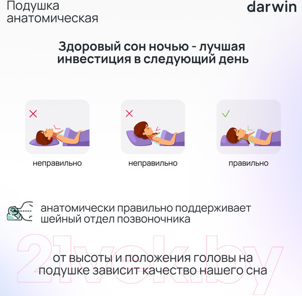 Изображение товара Ортопедическая подушка Darwin Fresh 1.0