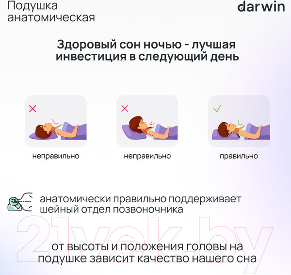 Изображение товара Ортопедическая подушка Darwin Fresh 2.0