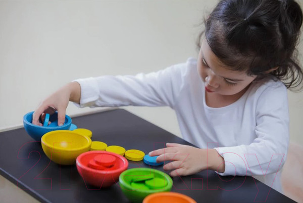 Изображение товара Сортер Plan Toys Счет и сортировка / 5360