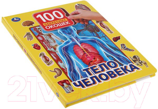 Изображение товара Развивающая книга Умка Тело человека. 100 секретных окошек для малышей