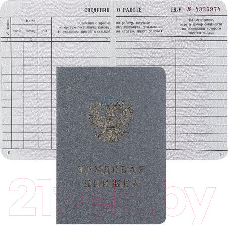 Изображение товара Бланк бухгалтерский Бумажная фабрика Гознака Трудовая книжка / ТКн/тв