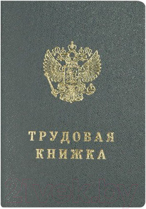 Изображение товара Бланк бухгалтерский Бумажная фабрика Гознака Трудовая книжка / ТКн/тв