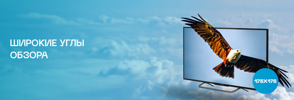 Изображение товара Телевизор POLAR 42" P42L31T2CSM