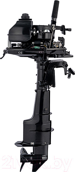 Изображение товара Мотор лодочный Parsun T 5 BMS