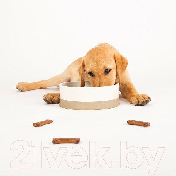 Изображение товара Миска для животных Scruffs Scandi / 823199 (кремовый)