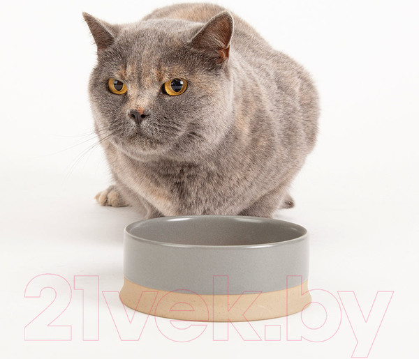 Изображение товара Миска для животных Scruffs Scandi / 823168 (серый)