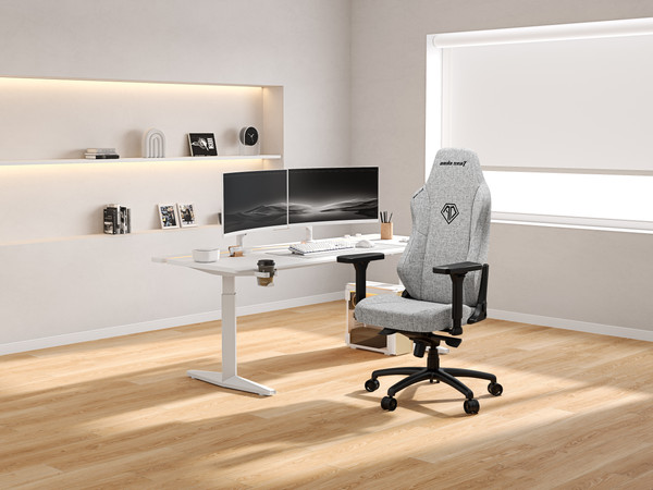 Изображение товара Кресло геймерское AndaSeat Phantom 3 / AD18Y-06-G-F (серый)