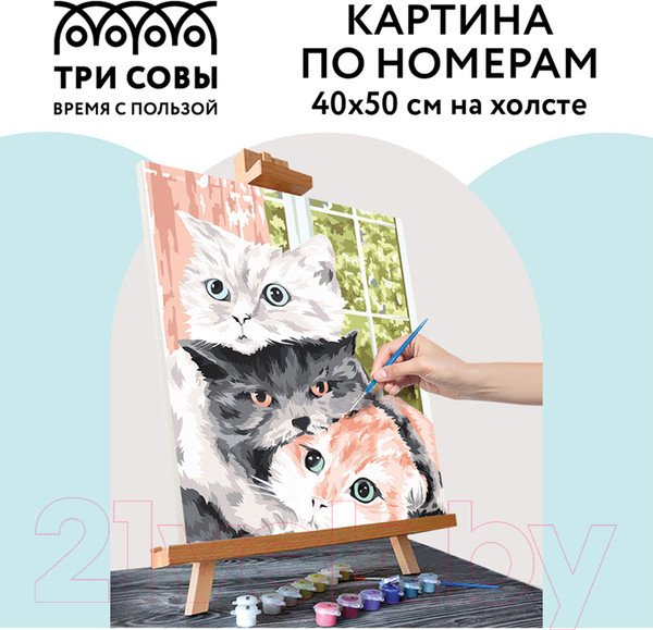 Изображение товара Картина по номерам Три совы Друзья / КХ_44172