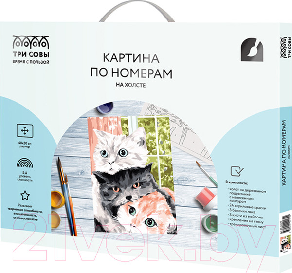 Изображение товара Картина по номерам Три совы Друзья / КХ_44172