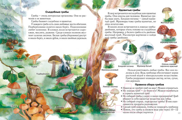 Изображение товара Атлас Белкартография Мир вокруг нас. 1-3 класс (Довнар Л.А.)