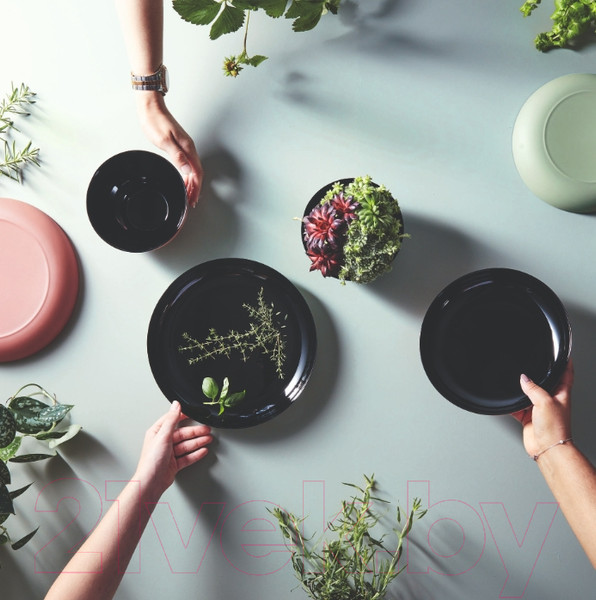 Изображение товара Блюдо Luminarc Vicky / Q8583 (черный/зеленый)