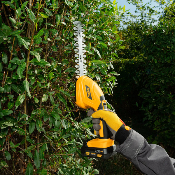 Изображение товара Кусторез аккумуляторный Denzel CGS-100 / 59430