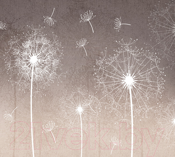 Изображение товара Фотообои листовые Vimala Одуванчики на коричневом фоне (270x300)