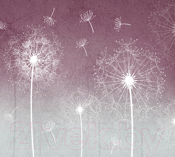 Изображение товара Фотообои листовые Vimala Одуванчики на красном фоне (270x300)