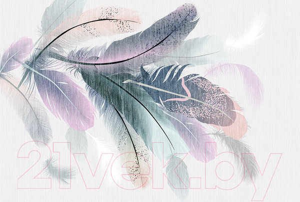 Изображение товара Фотообои листовые Vimala Векторные перья (270x400)