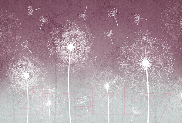 Изображение товара Фотообои листовые Vimala Одуванчики на красном фоне (270x400)