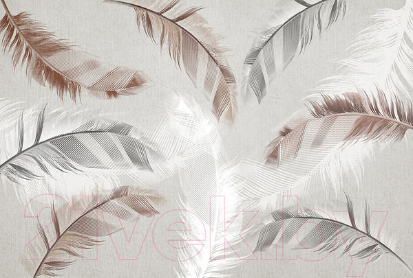 Изображение товара Фотообои листовые Vimala Перья на бетоне (270x400)