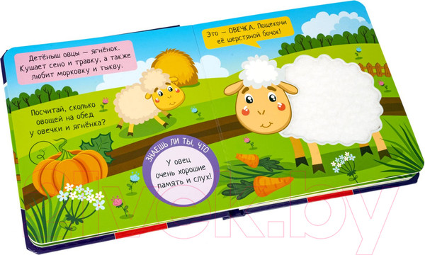 Изображение товара Развивающая книга Bondibon Мини игры Играю где хочу Погладь меня / ВВ5473