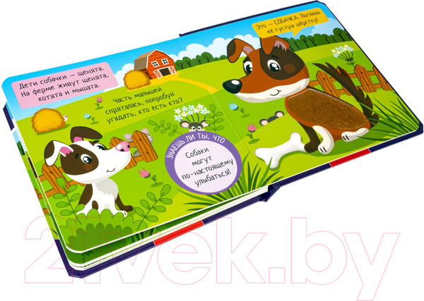 Изображение товара Развивающая книга Bondibon Мини игры Играю где хочу Погладь меня / ВВ5473