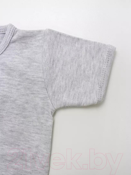 Изображение товара Боди для малышей Rant 6569-68 (светло-серый меланж, р.68)