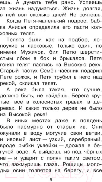 Изображение товара Книга АСТ Барсучий нос. Сказки и рассказы (Паустовский К.)