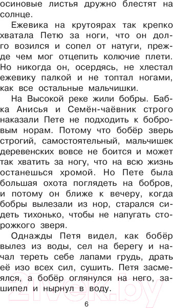 Изображение товара Книга АСТ Барсучий нос. Сказки и рассказы (Паустовский К.)