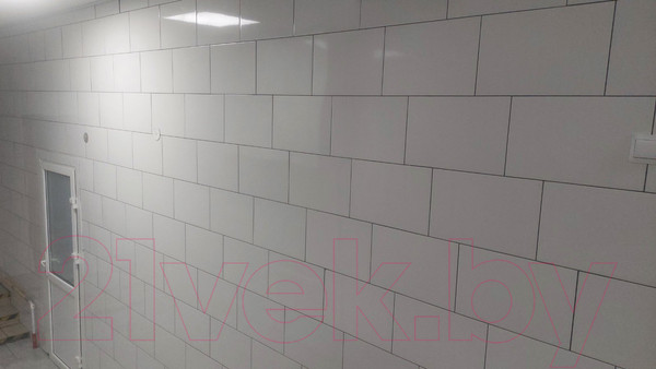 Изображение товара Плитка Euro-Ceramics 9BL0005TG (400x270, белая)