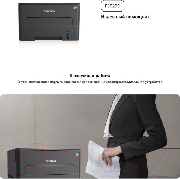 Изображение товара Принтер Pantum P3020D