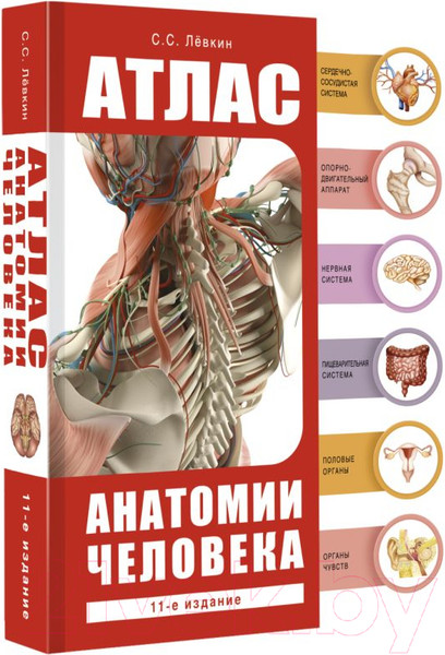 Изображение товара Атлас АСТ Атлас анатомии человека (Левкин С.)