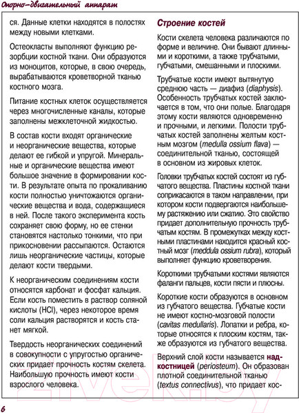 Изображение товара Атлас АСТ Атлас анатомии человека (Левкин С.)