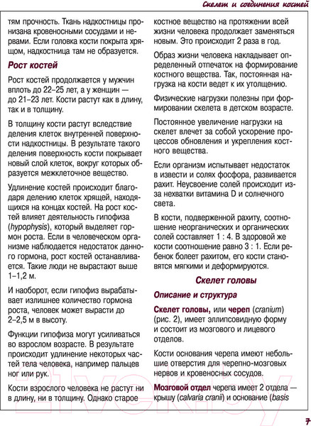 Изображение товара Атлас АСТ Атлас анатомии человека (Левкин С.)