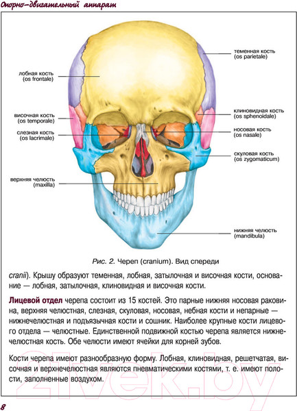 Изображение товара Атлас АСТ Атлас анатомии человека (Левкин С.)