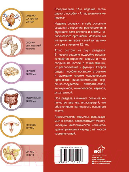 Изображение товара Атлас АСТ Атлас анатомии человека (Левкин С.)