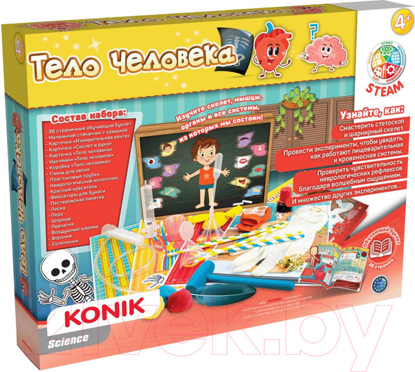 Изображение товара Научная игра Konik Science Тело человека / SSE1007