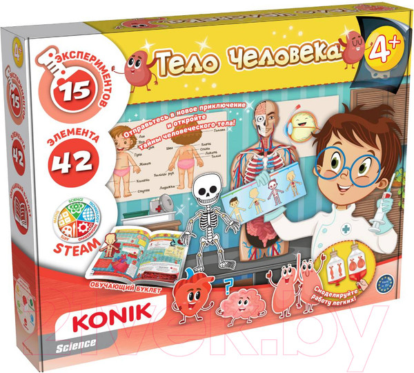 Изображение товара Научная игра Konik Science Тело человека / SSE1007