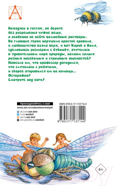 Изображение товара Книга АСТ Необыкновенные приключения Карика и Вали (Ларри Я.)