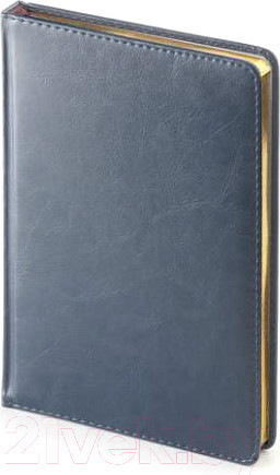 Изображение товара Ежедневник Альт Sidney Nebraska / 3-128/02 (черный)