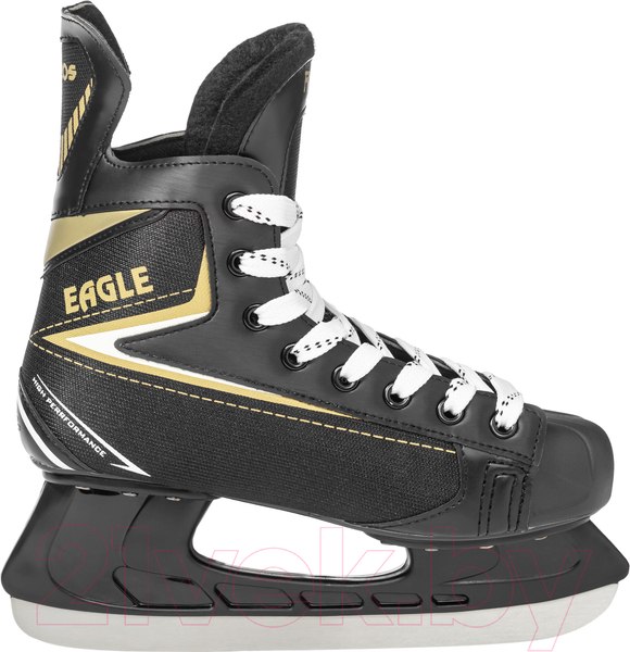 Изображение товара Коньки хоккейные Ricos Eagle PW-206AJ (р.41)