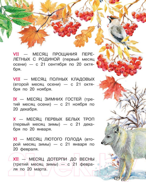 Изображение товара Книга АСТ Лесная газета (Бианки В.)