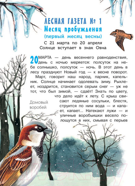 Изображение товара Книга АСТ Лесная газета (Бианки В.)