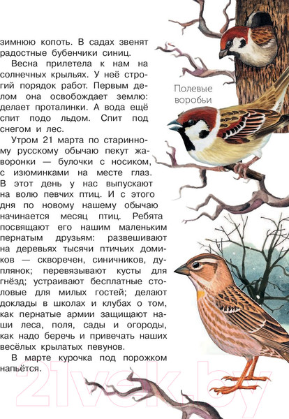 Изображение товара Книга АСТ Лесная газета (Бианки В.)