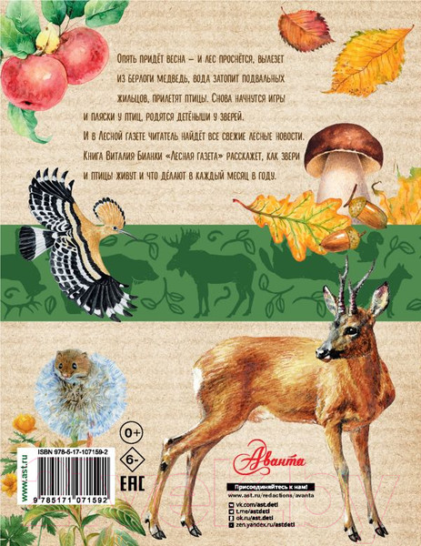 Изображение товара Книга АСТ Лесная газета (Бианки В.)