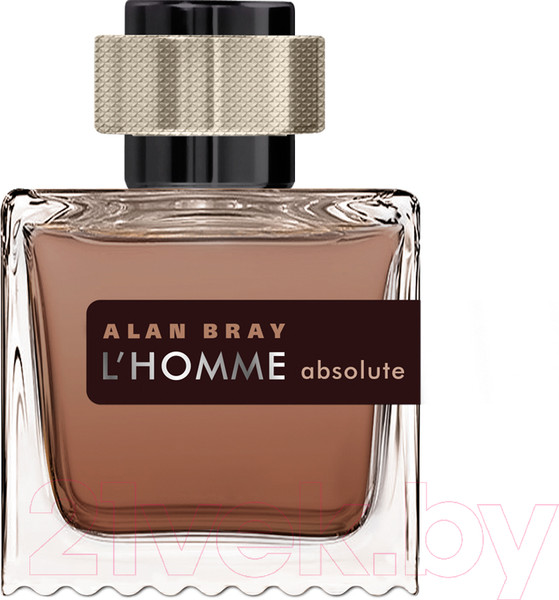 Изображение товара Туалетная вода Alan Bray L'Homme Absolute (100мл)