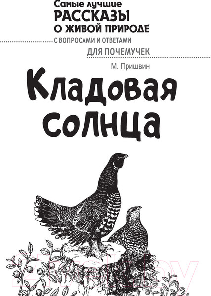 Изображение товара Книга АСТ Кладовая солнца (Пришвин М.)