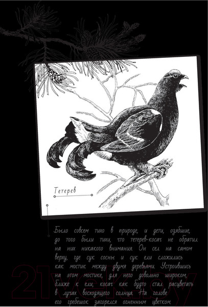 Изображение товара Книга АСТ Кладовая солнца (Пришвин М.)